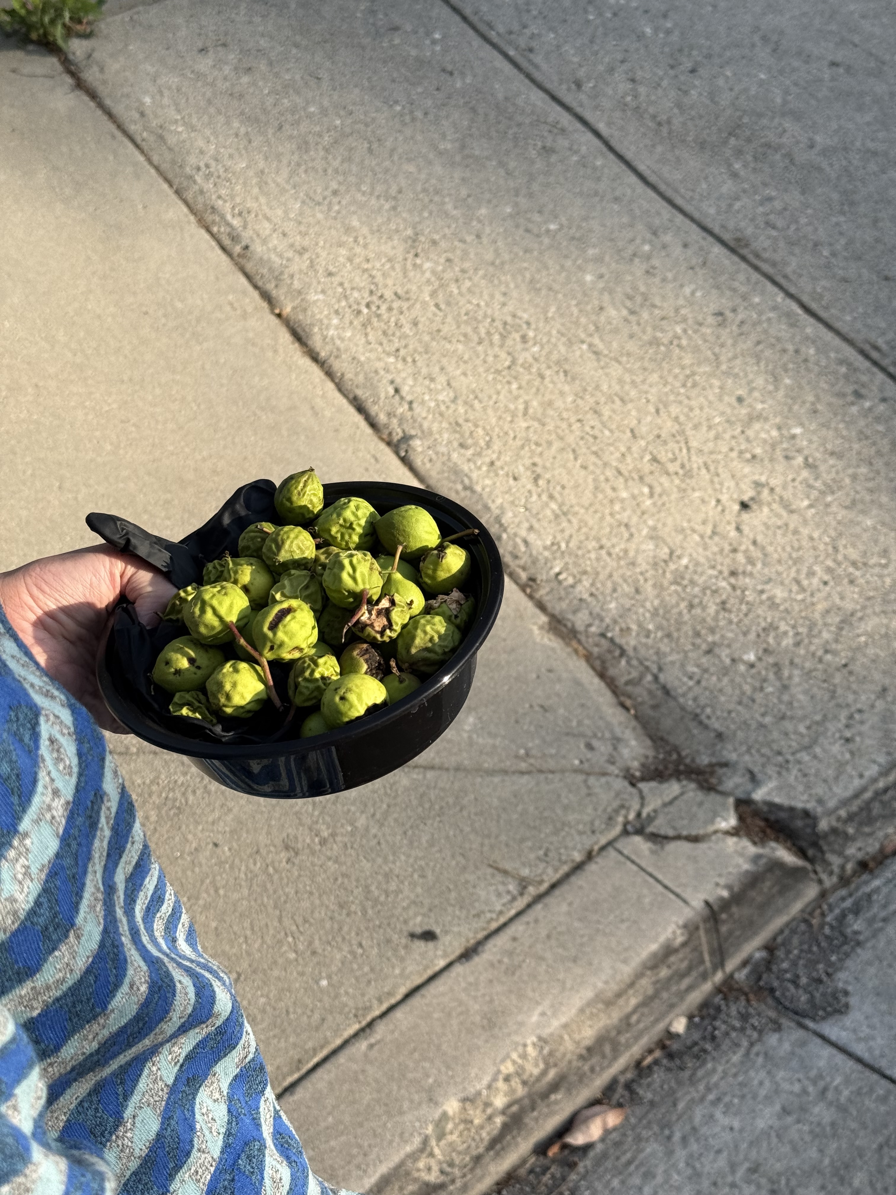 IMG_8833.jpeg